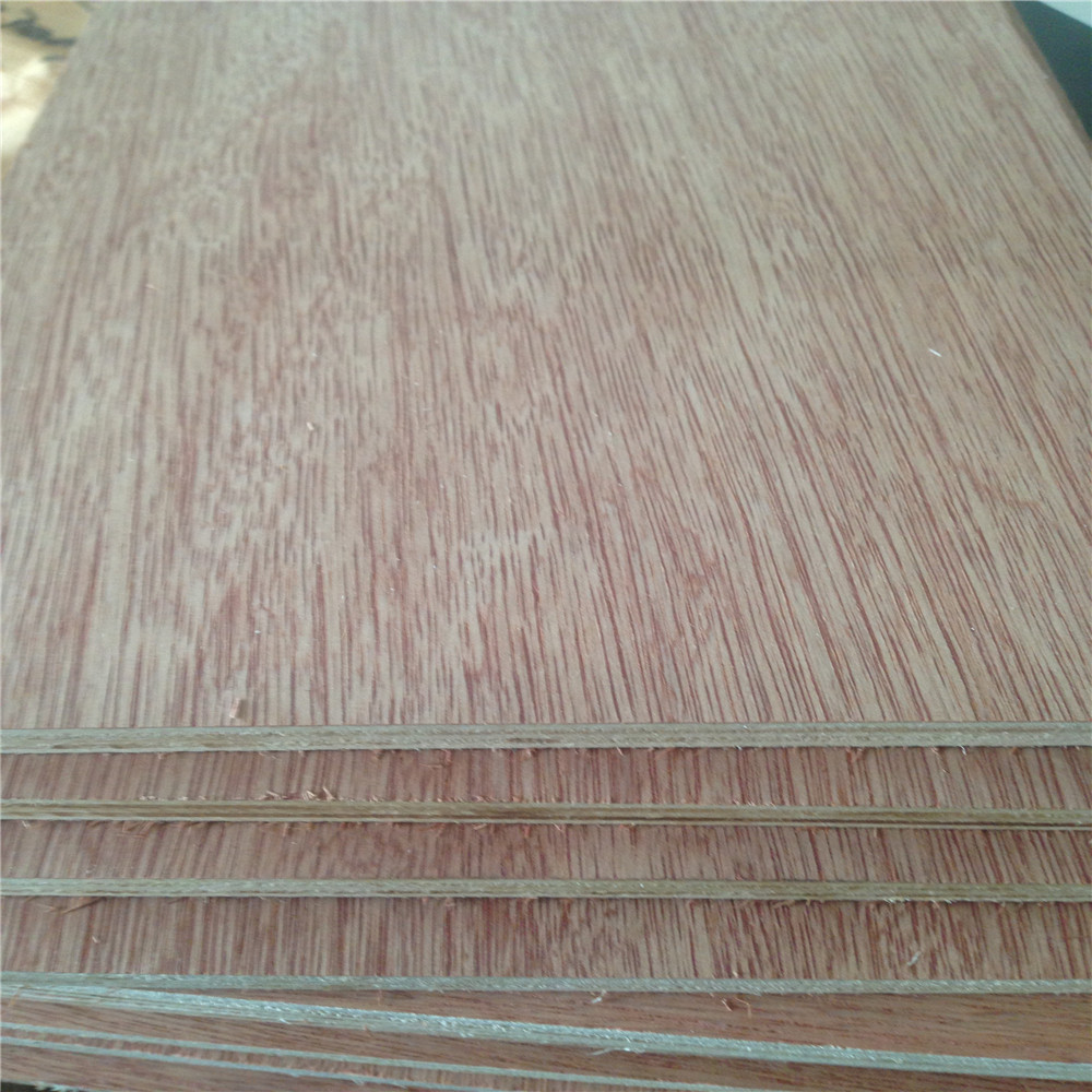 Bintangor faced plywood 