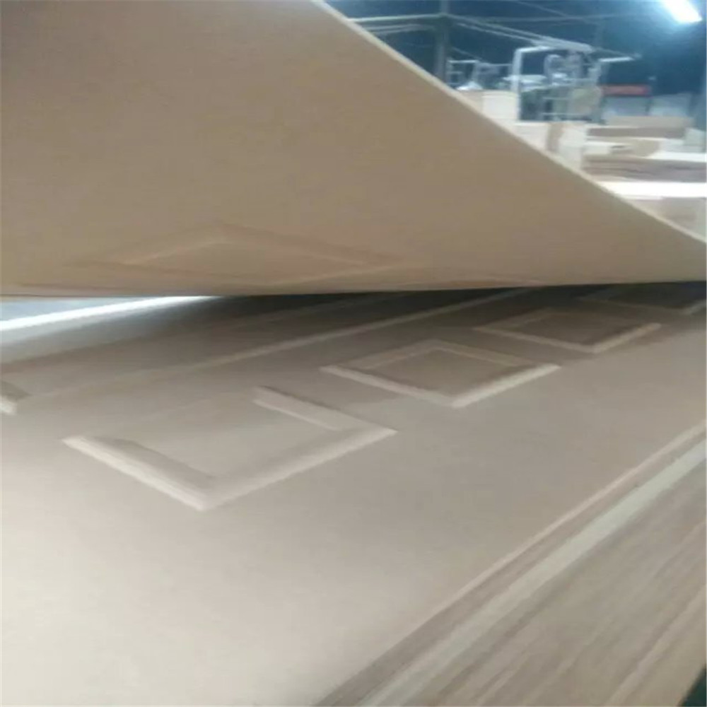 mould door skin1000