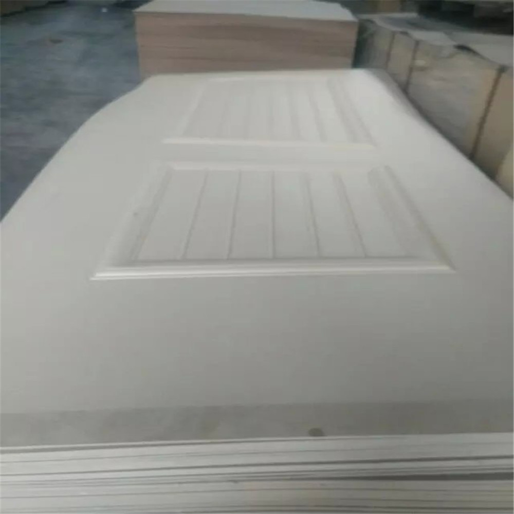 mould door skin1000